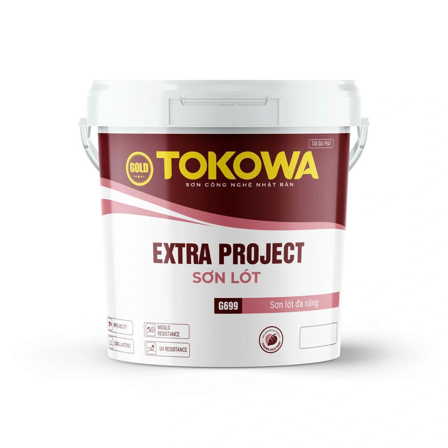 G699 ( EXTRA PROJECT )